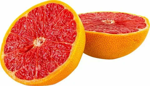تصویر 4 از قیمت خرید کنسانتره گریپ فروت با فروش عمده